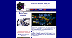 Desktop Screenshot of al-mulla.org